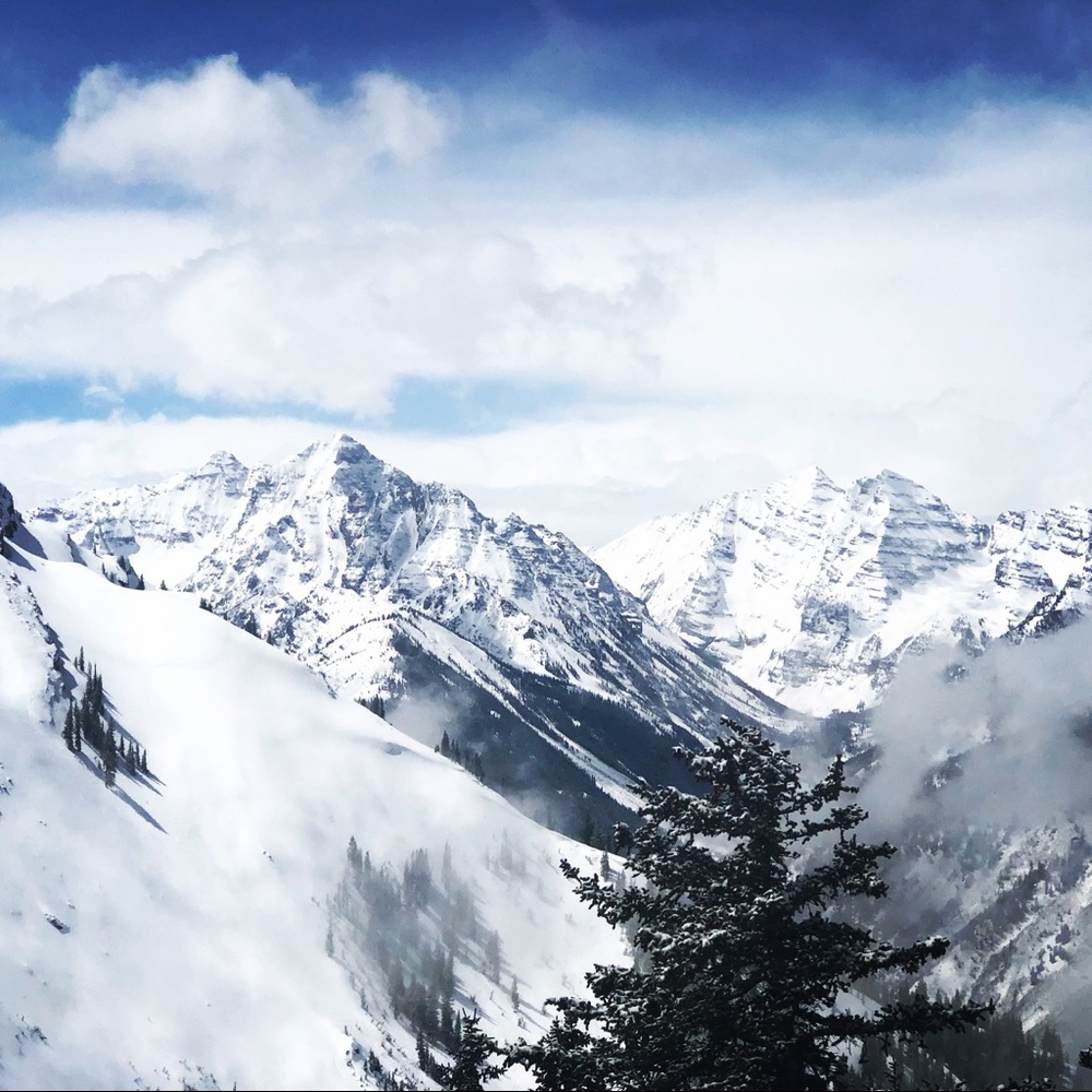 Meet your Posher, Jill